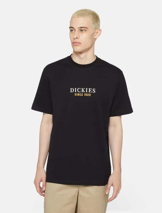 DICKIES - Park - Black