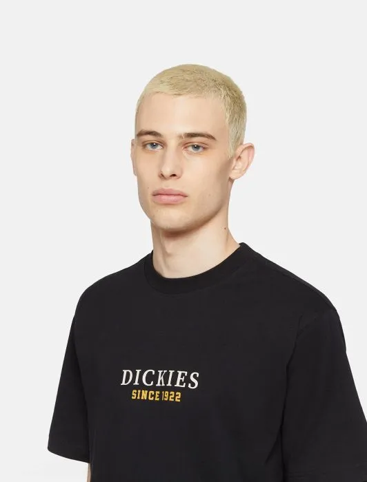 DICKIES - Park - Black